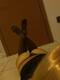Private Photo of roxy94